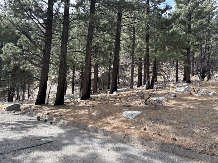 A photo of Site 8 of Loop  at Bootleg with Picnic Table, Fire Pit, Tent Pad