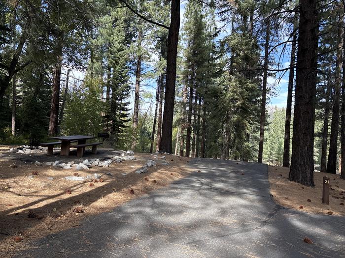 A photo of Site 21 of Loop  at Bootleg with Picnic Table, Fire Pit, Tent Pad