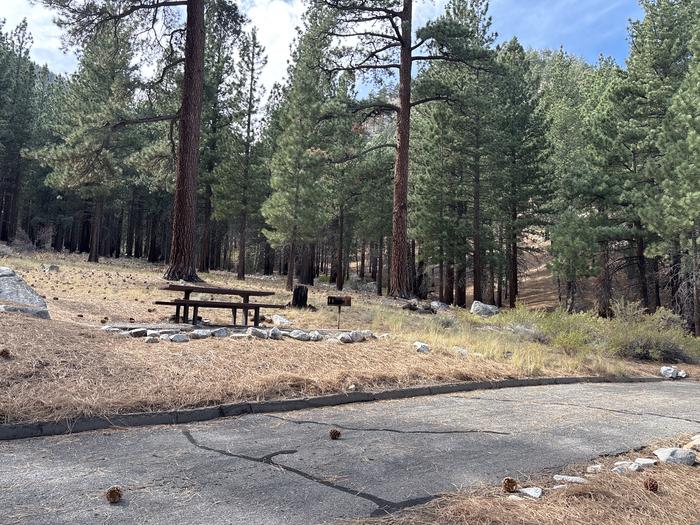 A photo of Site 25 of Loop  at Bootleg with Picnic Table, Fire Pit, Tent Pad