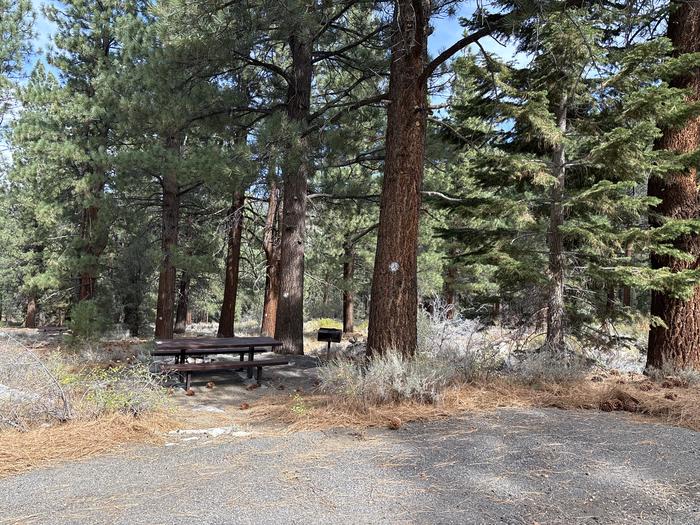 A photo of Site 59 of Loop  at Bootleg with Picnic Table, Fire Pit, Tent Pad