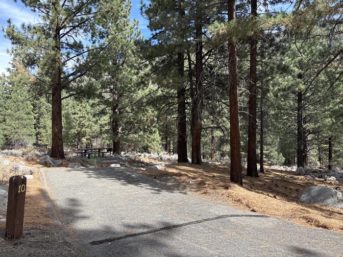 A photo of Site 10 of Loop  at Bootleg with Picnic Table, Fire Pit