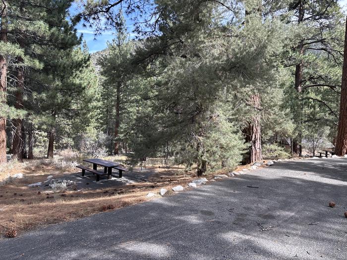 A photo of Site 26 of Loop  at Bootleg with Picnic Table, Fire Pit, Tent Pad