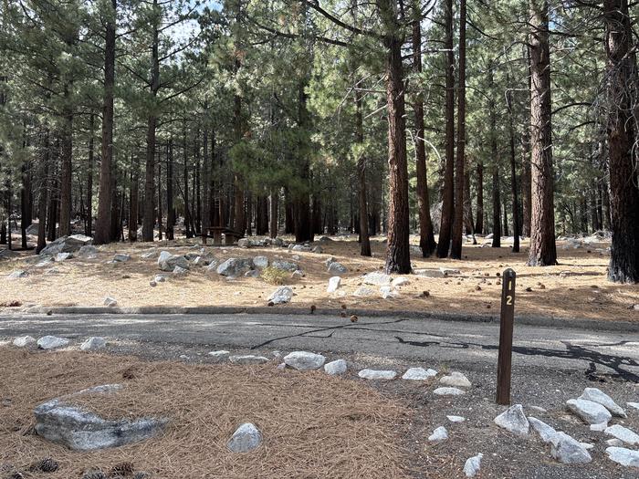 A photo of Site 12 of Loop  at Bootleg with Picnic Table, Fire Pit, Tent Pad