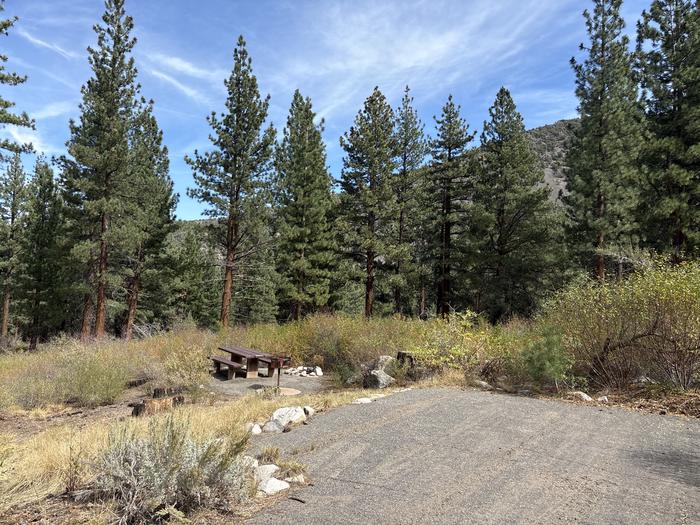 A photo of Site 57 of Loop  at Bootleg with Picnic Table, Fire Pit, Tent Pad