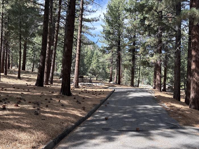 A photo of Site 36 of Loop  at Bootleg with Picnic Table, Fire Pit, Shade, Tent Pad