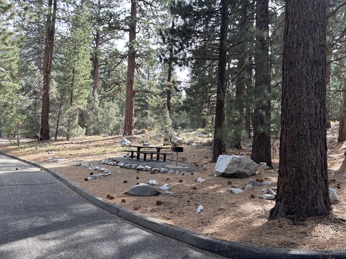 A photo of Site 20 of Loop  at Bootleg with Picnic Table, Fire Pit, Tent Pad