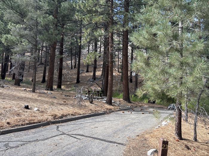 A photo of Site 23 of Loop  at Bootleg with Picnic Table, Fire Pit, Shade, Tent Pad