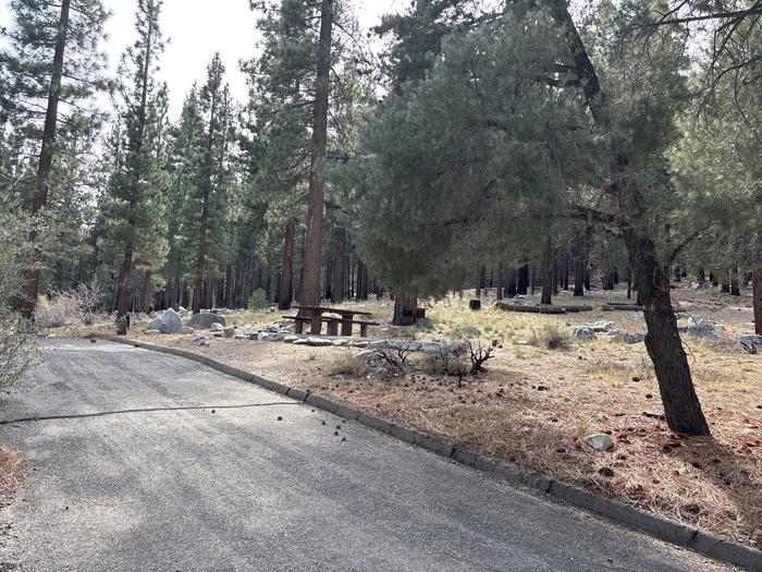 A photo of Site 27 of Loop  at Bootleg with Picnic Table, Fire Pit, Tent Pad