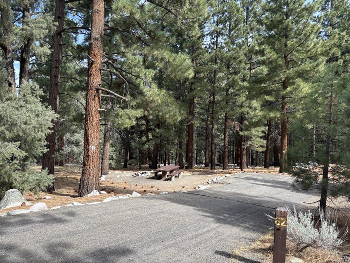 A photo of Site 62 of Loop  at Bootleg with Picnic Table, Fire Pit, Tent Pad