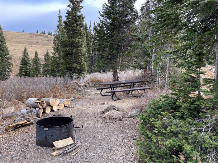 A photo of Site 19 at Deep Lake Campground with Picnic Table, Fire Pit, Shade