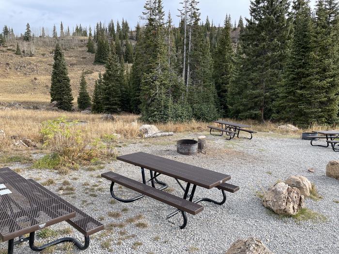 A photo of Site 15 at Deep Lake Campground with Picnic Table, Fire Pit, Shade, Tent Pad