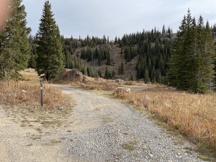 A photo of Site 14 at Deep Lake Campground with Picnic Table, Fire Pit, Tent Pad