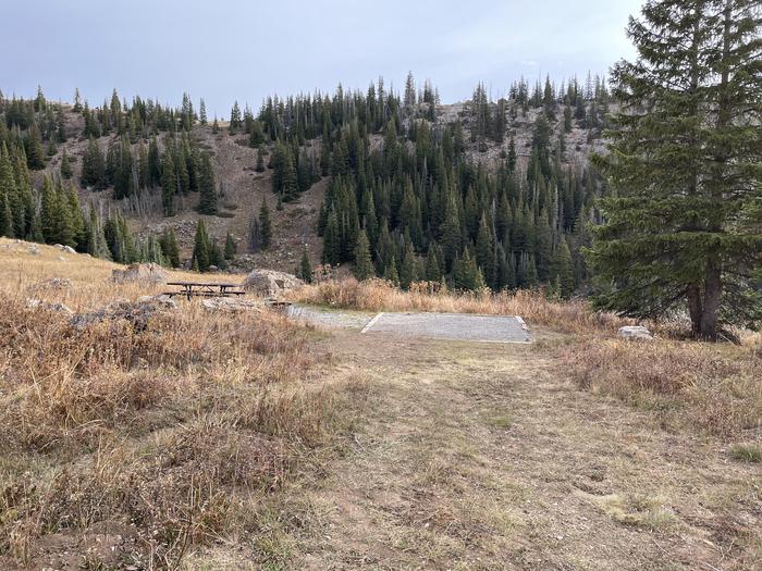 A photo of Site 14 at Deep Lake Campground with Picnic Table, Fire Pit, Shade, Tent Pad