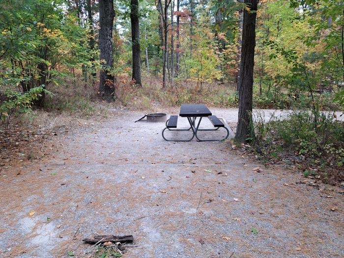 Site 85 pic 4View across site toward parking area of site 85, showing tent pad, picnic table, and fire ring.