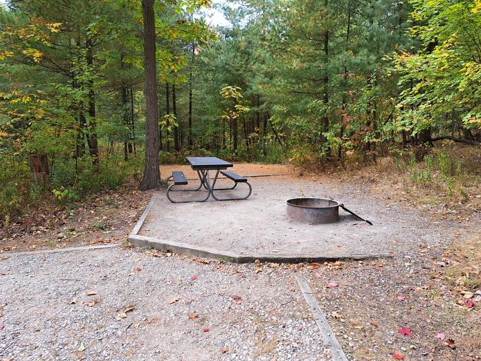 site 85 pic 3View across site 85, showing fire ring, picnic table, and tent pad.