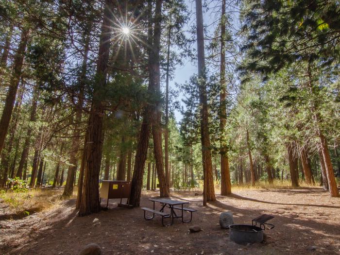 Metal box on legs (bear locker), picnic table, and fire ring sit below tall pine trees with sunlight beaming through limbs above.Site 86: Bear locker, picnic table, and fire ring.