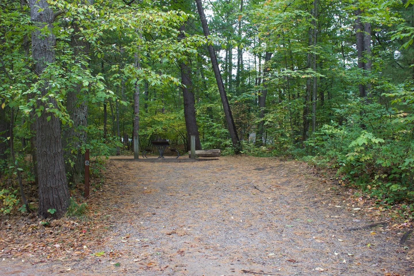 Campsite #8 pic 1Campsite #8 view into site from campground roadway