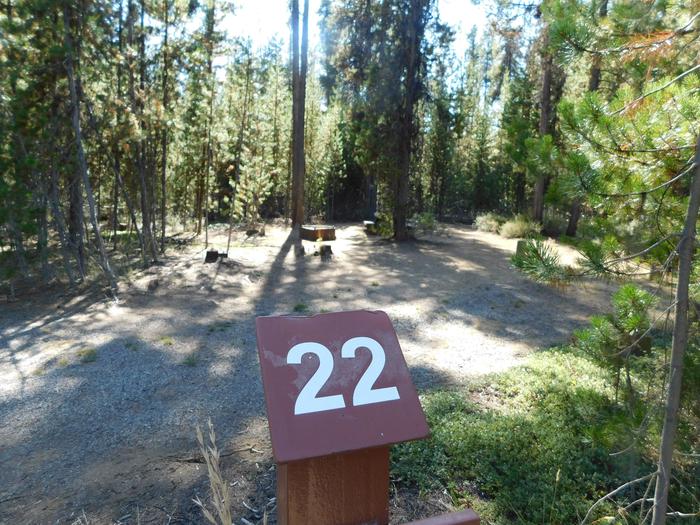 SITE 22