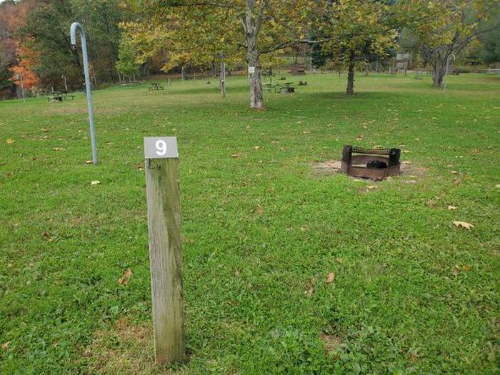 A photo of Site 09 of Loop NANCYS BOAT TO SHORE CAMPGROUND (PA)