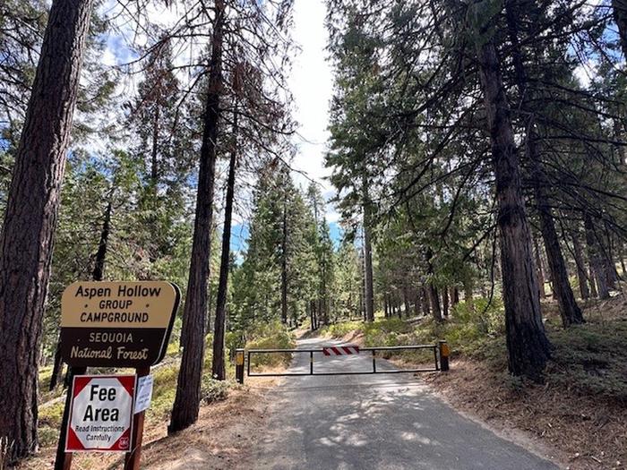 Entrance to Aspen Hollow Group Site