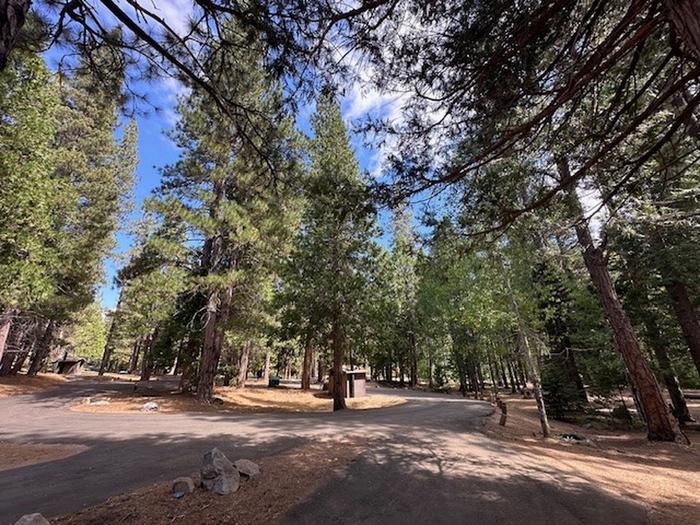 Driveway into Aspen Hollow Group SiteDriveway