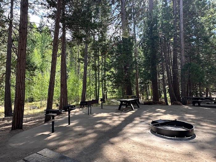 Fire pit area with grills in the backgroundAspen Hollow Group Site fire pit area with grills in the background