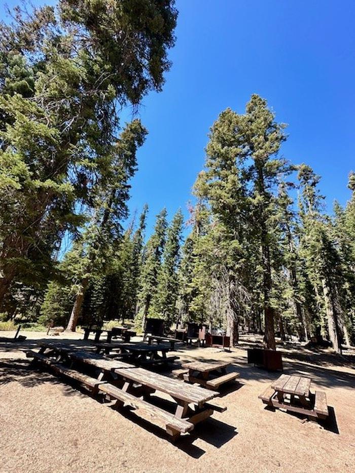 Fir Group Campground/3Picnic Table area