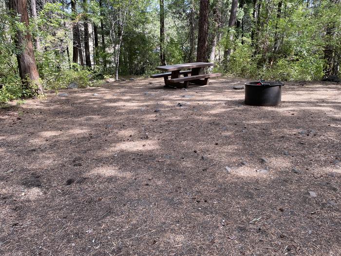 A photo of Site 027 of Loop Hike-To at PERRY SOUTH CAMPGROUND with Picnic Table