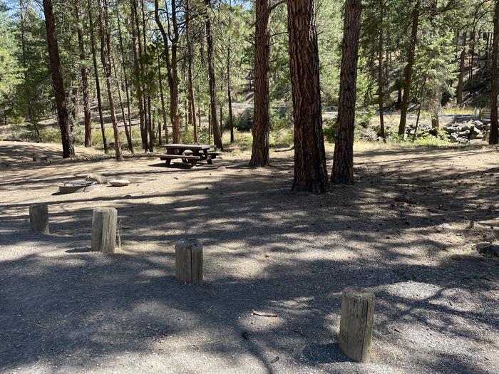 A photo of Site 003 of Loop LOWE at PERRY SOUTH CAMPGROUND with Picnic Table