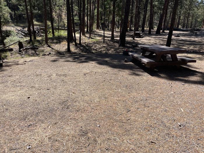 A photo of Site 003 of Loop LOWE at PERRY SOUTH CAMPGROUND with Tent Pad