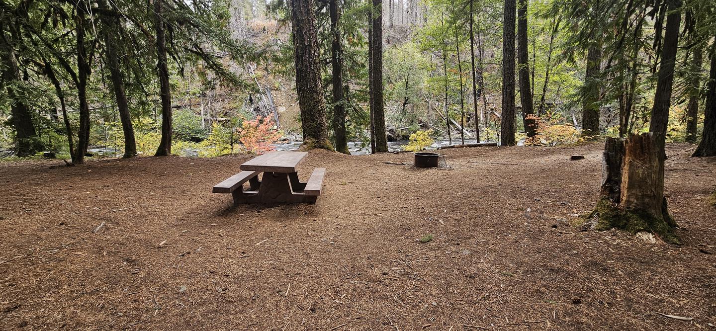 Site 7Campsite 7