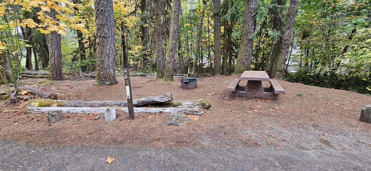 Campsite 16Table, firepit, small tent site