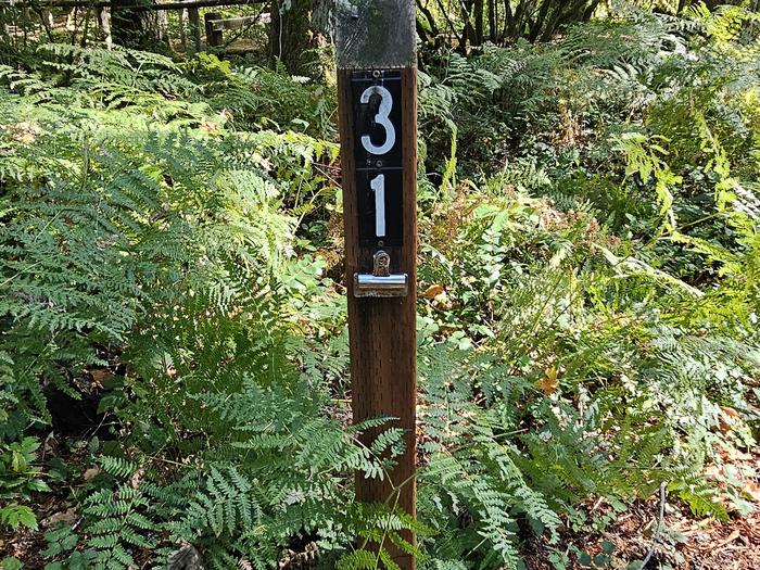 SITE 31Front post