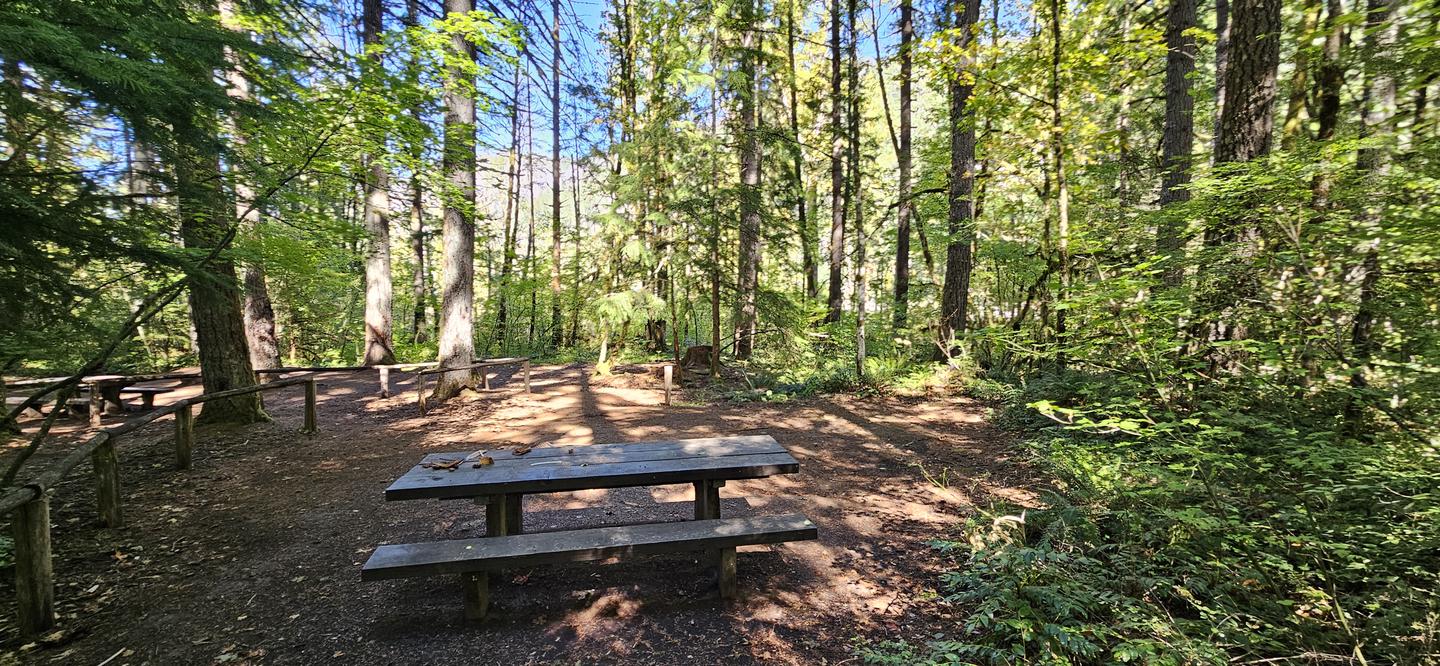 Site 31Campground area