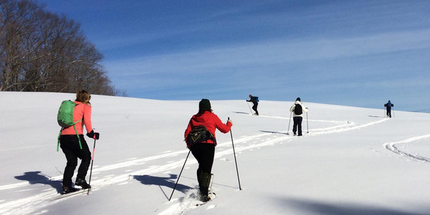 Winter at Marsh-Billings-RockefellerCross-country skiiers enjoy a brilliant day in the park!