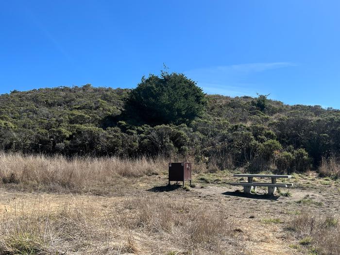 Campsite with picnic table and food storage locker.Coast 12