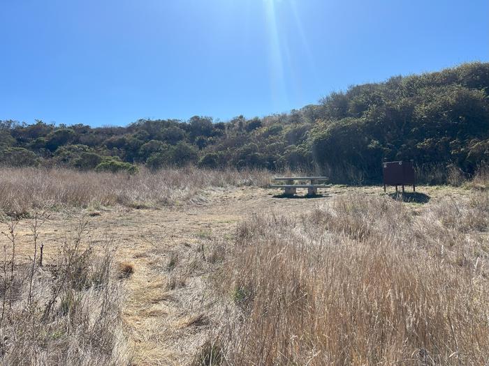 Campsite with picnic table and food storage locker.Coast 10