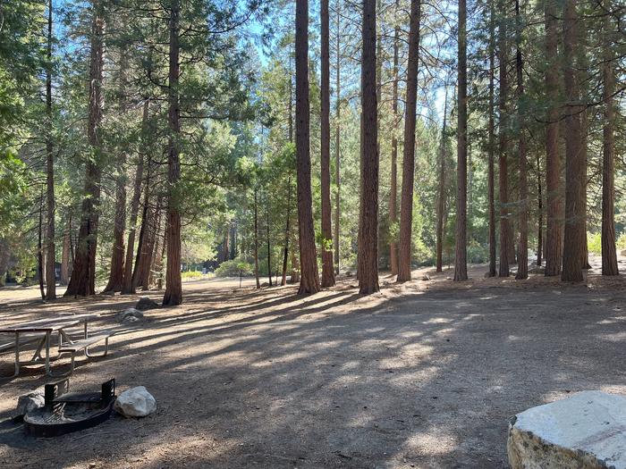 Smooth dirt tent pad surrounded by trees and near fire ring and picnic benchTent pad