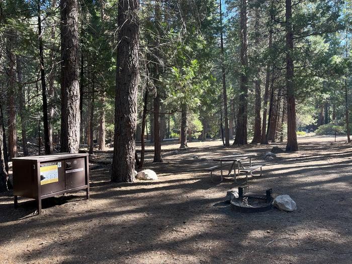 Camping area showing bear box, fire ring, picnic table and tent padBear box, picnic table and fire ring
