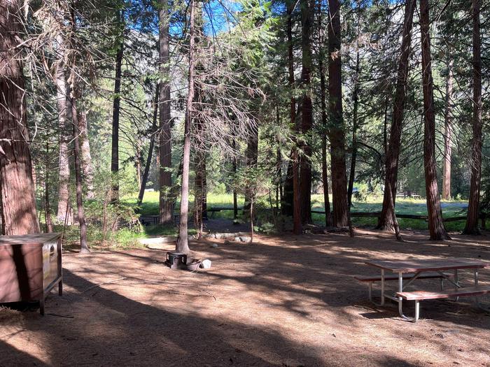 Camping area showing bear box, fire ring, picnic table and tent padBear box, picnic table and fire ring
