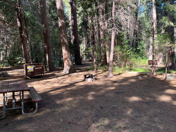 Smooth dirt tent pad surrounded by trees and near fire ring and picnic benchTent Pad
