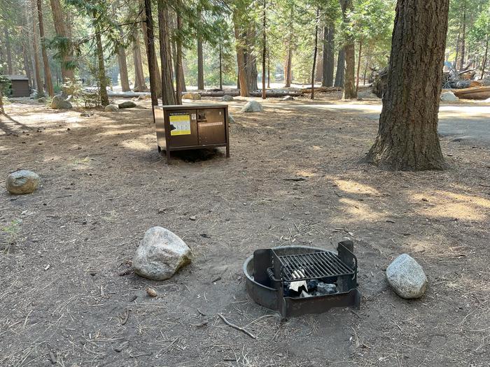 Camping area showing bear box and fire ringBear box and fire ring
