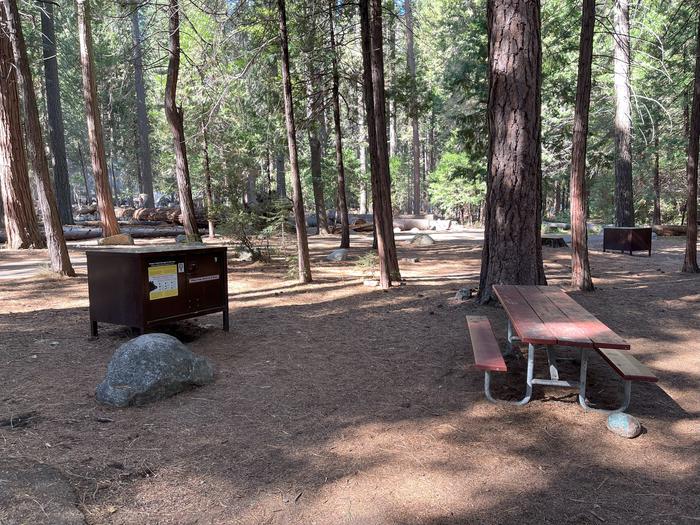 Camping area showing bear box, picnic table and tent padBear box and picnic table
