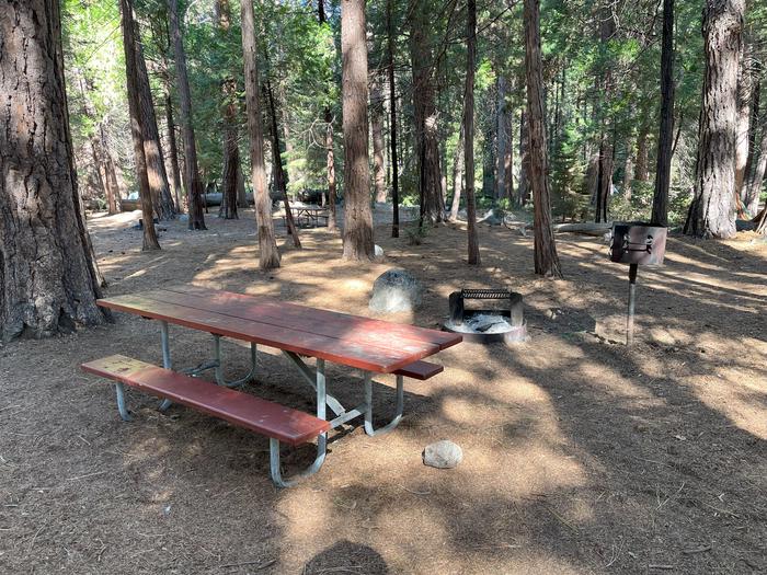 Smooth dirt tent pad surrounded by trees and near fire ring and picnic benchTent pad, fire ring and picnic table