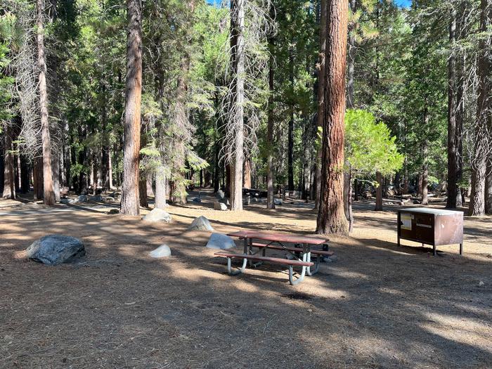 Smooth dirt tent pad surrounded by trees and near fire ring and picnic benchTent Pad
