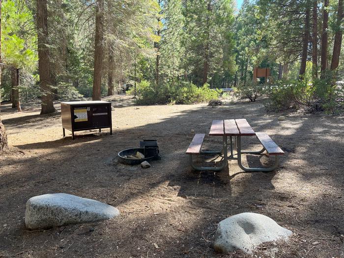 Camping area showing bear box, fire ring, picnic table and tent padBear box, picnic table and fire ring
