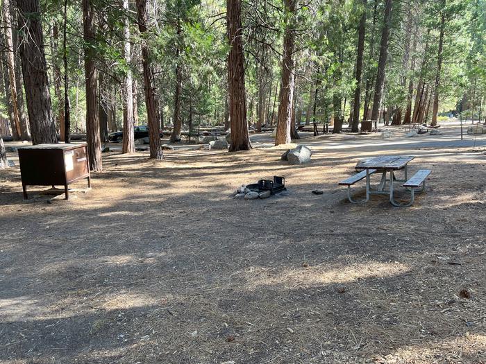 Smooth dirt tent pad surrounded by trees and near fire ring and picnic benchTent Pad
