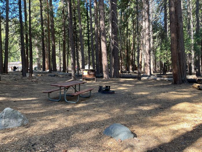 Camping area showing bear box, fire ring, picnic table and tent padBear box, picnic table and fire ring
