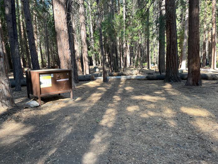 Smooth dirt tent pad surrounded by trees and near fire ring and picnic benchTent Pad
