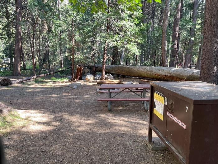 Camping area showing bear box, fire ring, picnic table and tent padBear box, picnic table and fire ring
